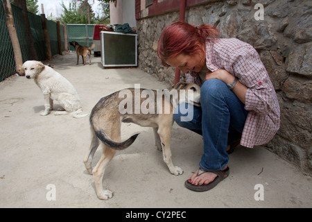 Nowzad est un chenil pour les chiens de rue à Kaboul, dirigé par Louise haslie Banque D'Images