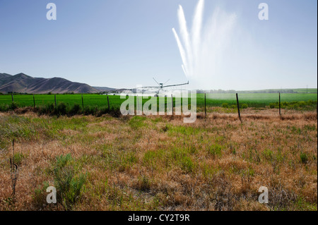 Pivot d'irrigation dans le champ de luzerne dans le sud de l'Idaho, avec la fin d'après-midi éclairant l'eau Banque D'Images