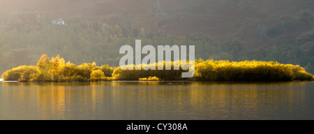 L'une des petites îles sur Derwent Water avec la lumière du soleil de fin de soirée en provenance de gauche à droite de l'image. Banque D'Images