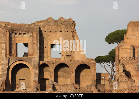 Belle et ancienne de la ville et des ruines, il Foro, Roma, Rome, Italie, voyages, Roman, photoarkive Banque D'Images