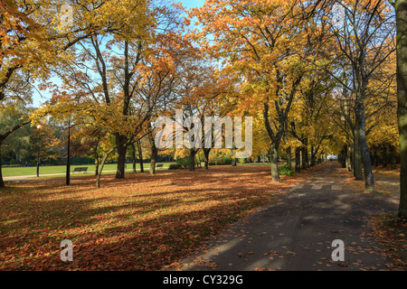 Parc dans l'éclat des couleurs de l'automne. Sopot, Pologne. Banque D'Images