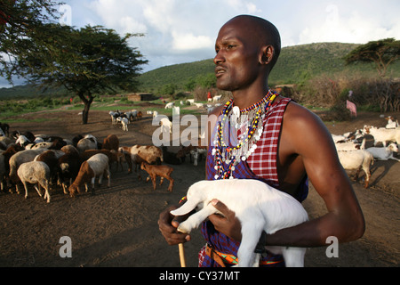 Dans Kenyafarming tribu Maasai, ferme, agriculture, chèvre, chèvre, mouton, animal, troupeau, Herder, l'élevage Banque D'Images