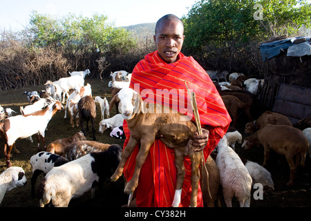 Dans Kenyafarming tribu Maasai, ferme, agriculture, chèvre, chèvre, mouton, animal, troupeau, Herder, l'élevage Banque D'Images