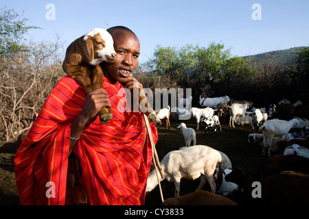 Dans Kenyafarming tribu Maasai, ferme, agriculture, chèvre, chèvre, mouton, animal, troupeau, Herder, l'élevage Banque D'Images