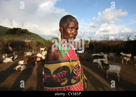 Dans Kenyafarming tribu Maasai, ferme, agriculture, chèvre, chèvre, mouton, animal, troupeau, Herder, l'élevage Banque D'Images