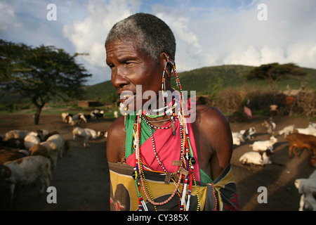 Dans Kenyafarming tribu Maasai, ferme, agriculture, chèvre, chèvre, mouton, animal, troupeau, Herder, l'élevage Banque D'Images