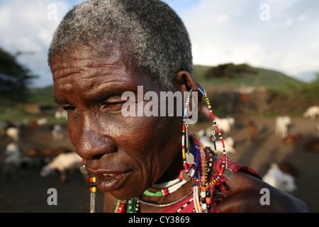 Dans Kenyafarming tribu Maasai, ferme, agriculture, chèvre, chèvre, mouton, animal, troupeau, Herder, l'élevage Banque D'Images