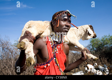 Dans Kenyafarming tribu Maasai, ferme, agriculture, chèvre, chèvre, mouton, animal, troupeau, Herder, l'élevage Banque D'Images