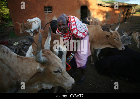 Tribu Maasai au Kenya Banque D'Images