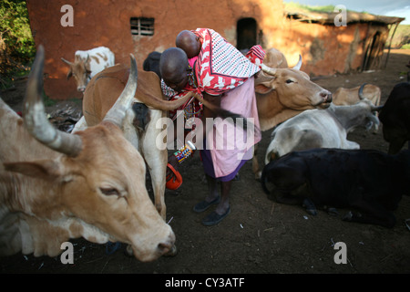 Tribu Maasai au Kenya Banque D'Images