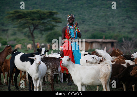 Dans Kenyafarming tribu Maasai, ferme, agriculture, chèvre, chèvre, mouton, animal, troupeau, Herder, l'élevage Banque D'Images