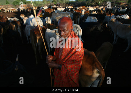 Tribu Maasai au Kenya Banque D'Images