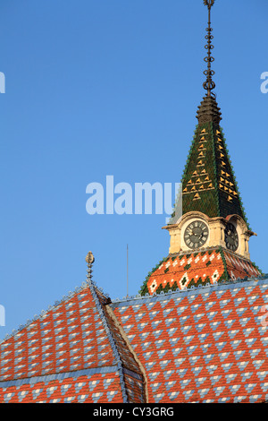 Roumanie, Targu Mures, Bâtiment du conseil de comté, Banque D'Images