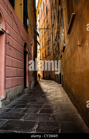 Une ruelle étroite à Camogli, ligurie, italie Banque D'Images