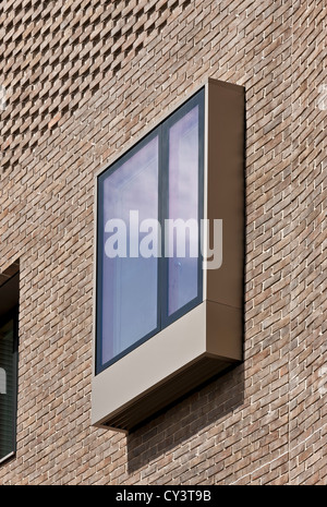 Nouvelle chambre Radcliffe, Jéricho Health Centre, Oxford, Royaume-Uni. Architecte : Hawkins Brown Architectes s.r.l., 2012. Détail de la fenêtre Banque D'Images