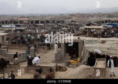 Marché du bétail à Kaboul, Afghanistan Banque D'Images