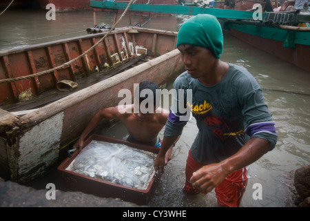 Joseph et René apporte la prise du jour sur terre. Joseph a 17 ans et travaille comme son père l'a fait sur la mer comme un pêcheur. Banque D'Images