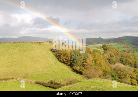 Arc-en-ciel sur indigène en automne vers la montagne noire du pays de Galles Cymru UK GO Banque D'Images