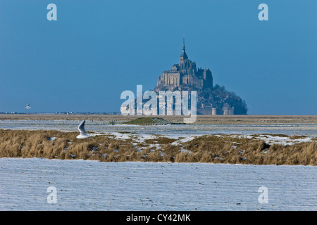 Europe, France, Normandy, Manche (50), Baie du Mont St Michel avec de la neige Banque D'Images