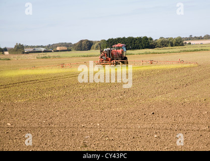 Pulvériser l'herbicide glyphosate champ arable Hollesley, Sufolk, Angleterre Banque D'Images