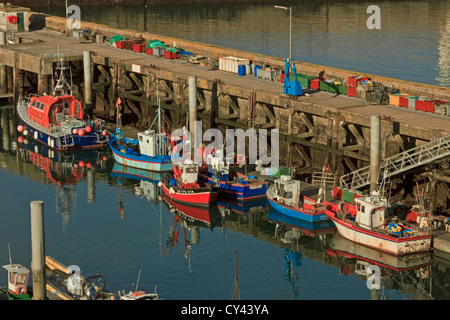 Europe, France, Bretagne, Morbihan (56), Ile de Croix, Port Tudy au lever du soleil Banque D'Images