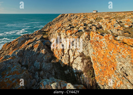 Europe, France, Bretagne, Morbihan (56), Ile de Groix, la Côte sauvage de roches couvertes de lichens et de maison isolée Banque D'Images