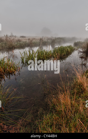 Le lever du soleil jusqu'au début de l'été matin nuage créé par l'ensemble de la rivière Darent champs proches moody sentiment brumeux des formes cachées Banque D'Images