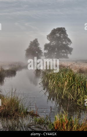 Le lever du soleil jusqu'au début de l'été matin nuage créé par l'ensemble de la rivière Darent champs proches moody sentiment brumeux des formes cachées Banque D'Images