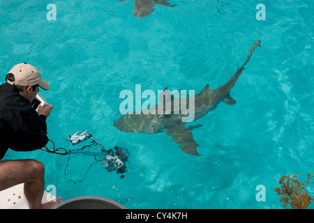 Polecam photographe utilise pour capturer des images de requins Banque D'Images