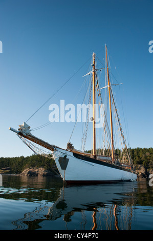 La goélette historique Zodiac ancré à Shaw Island dans les îles San Juan de la région de Puget Sound dans l'État de Washington, USA. Banque D'Images