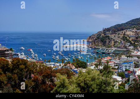 Yachts et voiliers amarrés au port d'Avalon sur l'île de Santa Catalina. Au large de la côte de Californie du Sud Banque D'Images