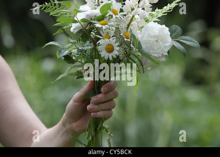 A woman's hand holding est un bouquet de fleurs blanches du jardin fraîchement recueillies au cours d'une pluie d'été. Banque D'Images