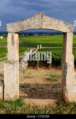 Portail de vignoble. Cote d'Or, Bourgogne, France, Europe Banque D'Images