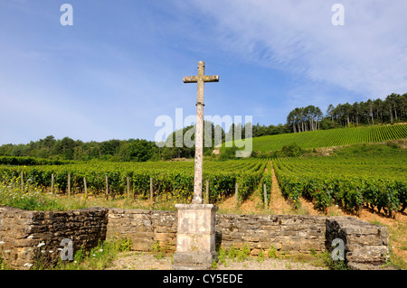 Croix de vignoble en Bourgogne. Côte d'Or. Bourgogne Franche Comte. France. Banque D'Images