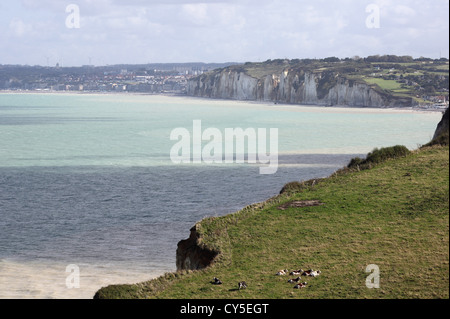 Côte d'albâtre près de Varangeville-sur-Mer, Normandie, France Banque D'Images