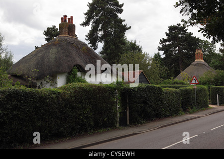 Pays traditionnel thatched cottage,vu ici en Woodhall Lane dans le village de Shenley dans le Hertfordshire. Banque D'Images