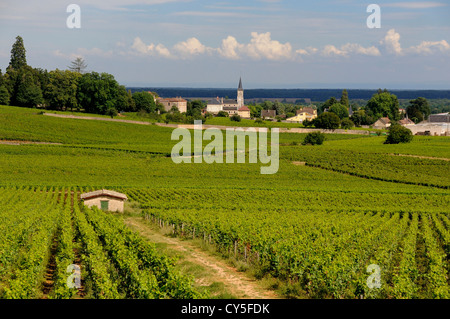 Village d'Aloxe-Corton, Côte de Beaune, Côte d'Or. Bourgogne. Bourgogne Franche Comte. France Banque D'Images