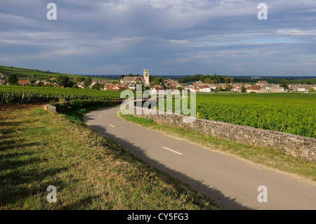 Vignoble et village de Pommard, Côte d'Or, Route des grands crus, Bourgogne, France Banque D'Images