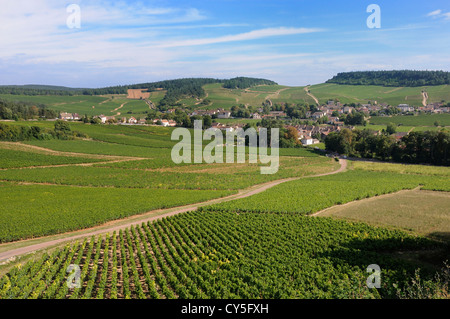 Village de Mercurey entouré de vignes, Saône et Loire, Côte Chalonnaise, Bourgogne Franche Comte, France, Europe Banque D'Images