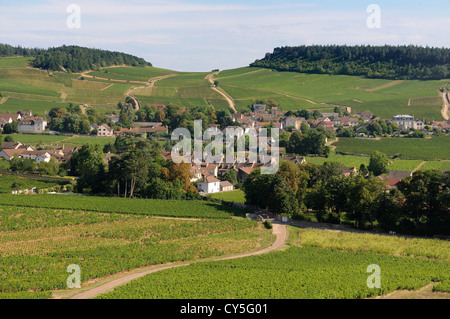 Village de Mercurey entouré de vignes, Saône et Loire, Côte Chalonnaise, Bourgogne Franche Comte, France, Europe Banque D'Images