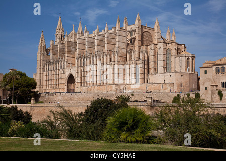 La cathédrale de Palma, Palma, Majorque, Espagne Banque D'Images