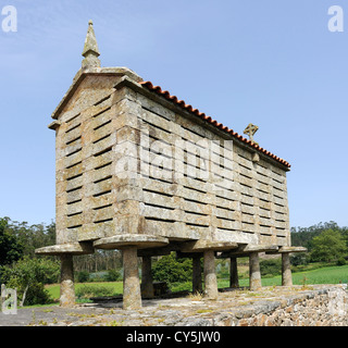 Un horreo, un traditionnel nord-ouest de l'espagnol grain store dans le galicien style, ce grenier est faite à partir de la pierre et est soulevé Banque D'Images