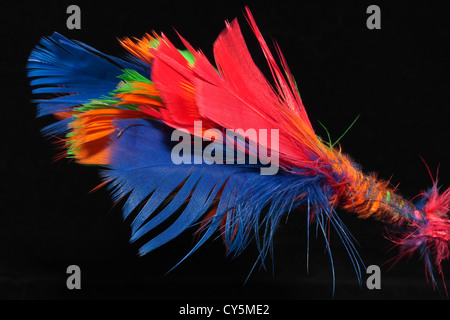 Colored Feathers Banque D'Images