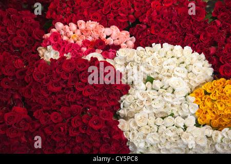 Roses au marché de la Jamaïque à Colonia la Jamaïque à Venustiano Carranza borough de la ville de Mexico Banque D'Images
