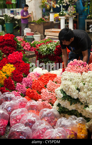 Roses au marché de la Jamaïque à Colonia la Jamaïque à Venustiano Carranza borough de la ville de Mexico Banque D'Images