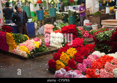 Roses au marché de la Jamaïque à Colonia la Jamaïque à Venustiano Carranza borough de la ville de Mexico Banque D'Images
