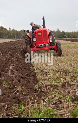 Concours de labour dans le Perthshire, Écosse Banque D'Images