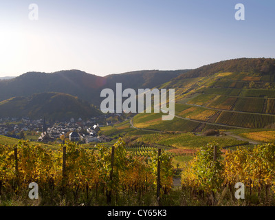 Dans les vignobles de la romantique vallée de l'Ahr Mayschoß,village,Allemagne,Rhénanie-palatinat,Eifel Banque D'Images