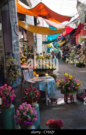 Marché aux Fleurs allée à la Jamaïque à Colonia la Jamaïque à Venustiano Carranza borough de la ville de Mexico DF Banque D'Images