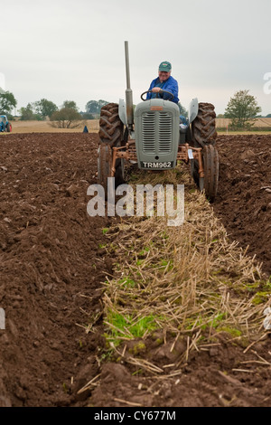 Concours de labour dans le Perthshire, Écosse Banque D'Images